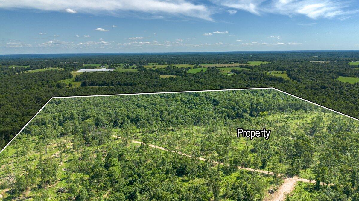Lot 4 Adams Road Goodman, MO 64843 - Photo 4 of 16 900 Adams Rd Goodman--8