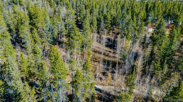 $79,999 | 235 Willow Lane, Alma, CO 80420