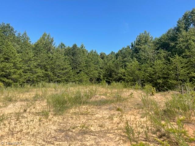 0 Roberts Cemetery Road Stoneville, NC 27048 - Photo 2 of 26 Gallery Image 2