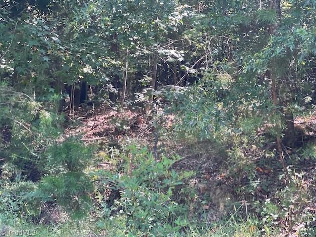 0 Roberts Cemetery Road Stoneville, NC 27048 - Photo 11 of 26 Gallery Image 11