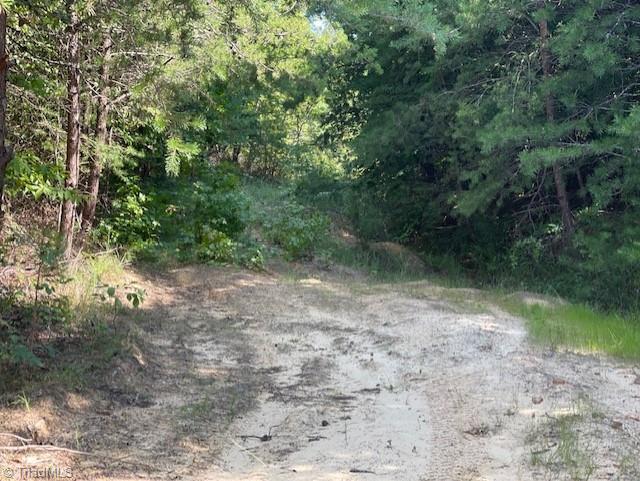 0 Roberts Cemetery Road Stoneville, NC 27048 - Photo 12 of 26 Gallery Image 12