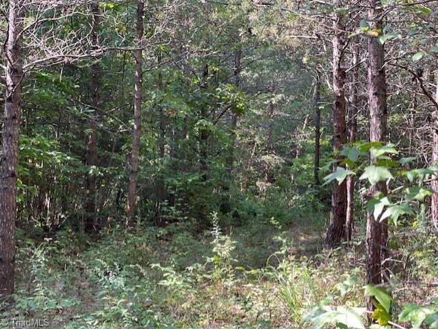 0 Roberts Cemetery Road Stoneville, NC 27048 - Photo 13 of 26 Gallery Image 13