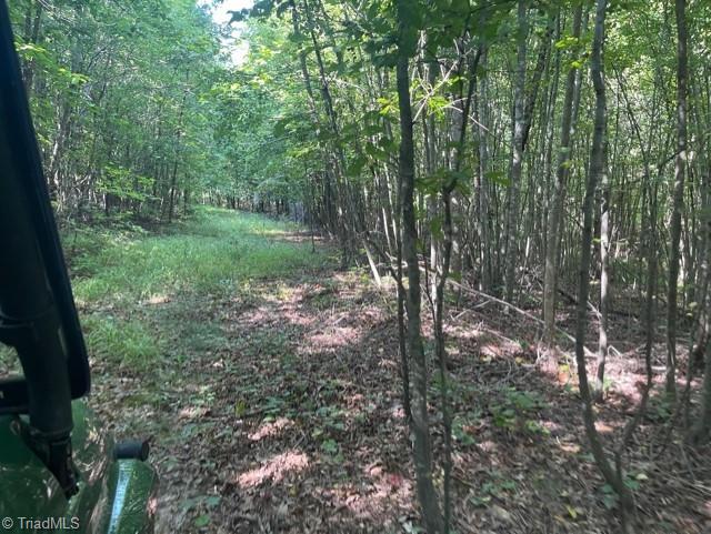 0 Roberts Cemetery Road Stoneville, NC 27048 - Photo 15 of 26 Gallery Image 15