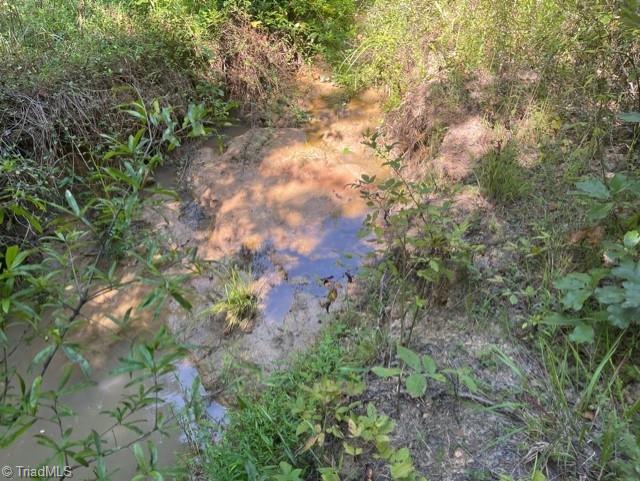 0 Roberts Cemetery Road Stoneville, NC 27048 - Photo 16 of 26 Gallery Image 16