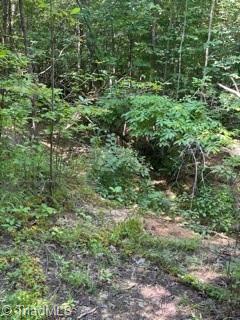 0 Roberts Cemetery Road Stoneville, NC 27048 - Photo 18 of 26 Gallery Image 18