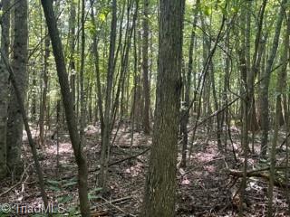 0 Roberts Cemetery Road Stoneville, NC 27048 - Photo 19 of 26 Gallery Image 19