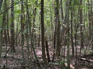 0 Roberts Cemetery Road Stoneville, NC 27048 - Photo 20 of 26 Gallery Image 20