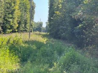 0 Roberts Cemetery Road Stoneville, NC 27048 - Photo 21 of 26 Gallery Image 21