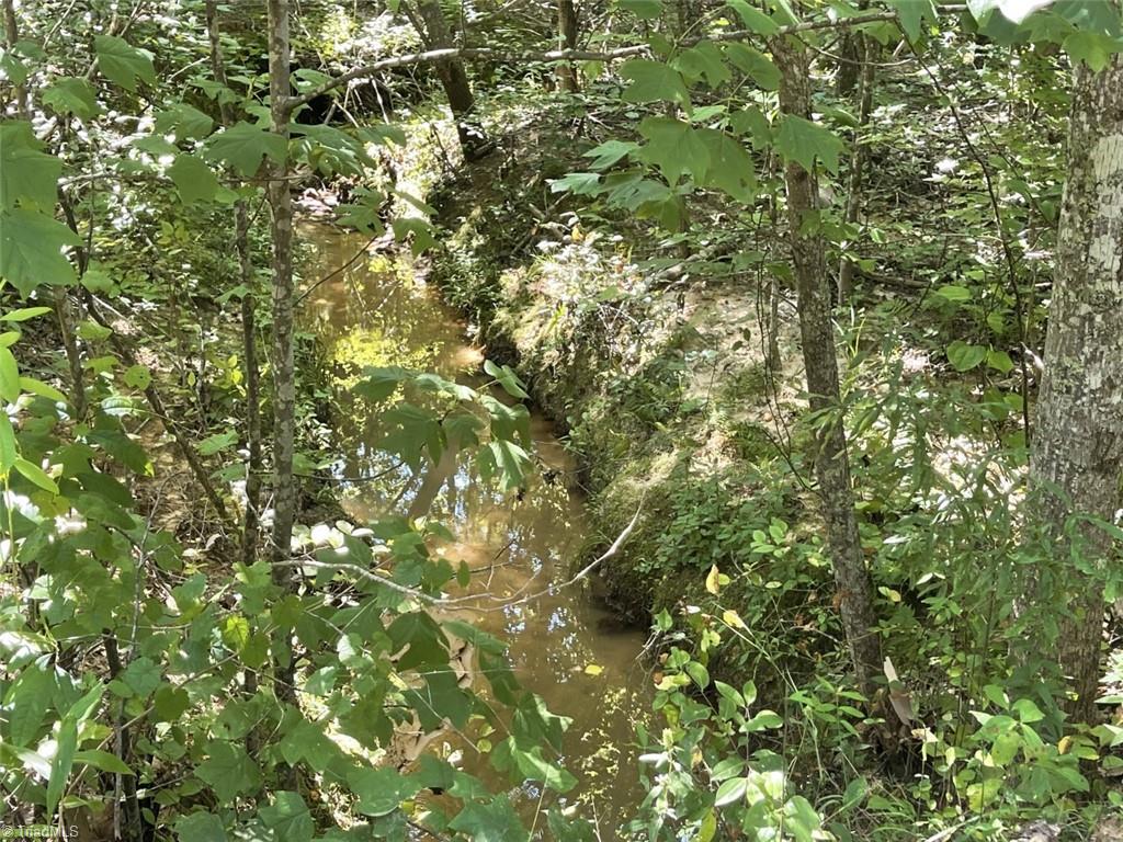 0 Roberts Cemetery Road Stoneville, NC 27048 - Photo 25 of 26 Gallery Image 25