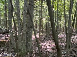 0 Roberts Cemetery Road Stoneville, NC 27048 - Photo 4 of 26 Gallery Image 4