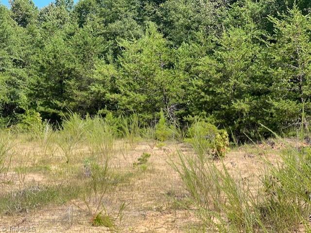 0 Roberts Cemetery Road Stoneville, NC 27048 - Photo 7 of 26 Gallery Image 7