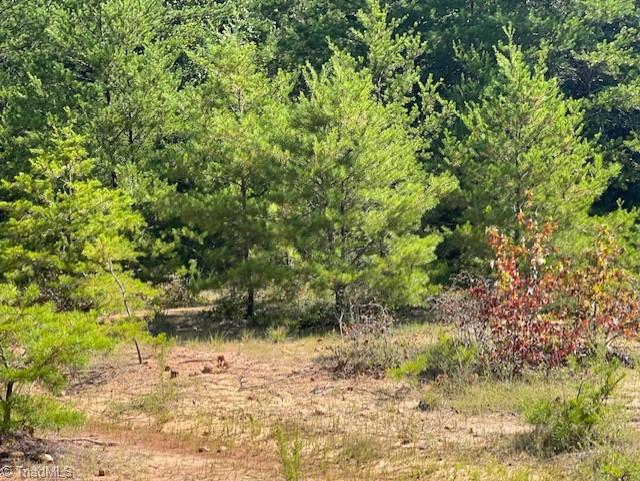 0 Roberts Cemetery Road Stoneville, NC 27048 - Photo 8 of 26 Gallery Image 8