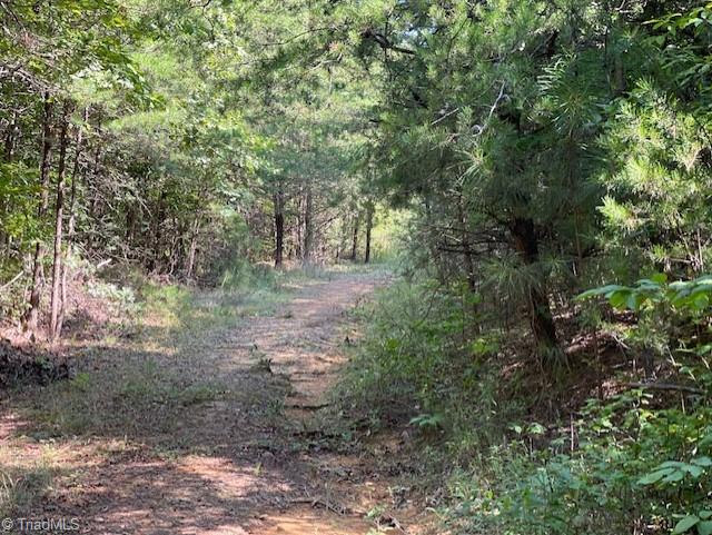 0 Roberts Cemetery Road Stoneville, NC 27048 - Photo 9 of 26 Gallery Image 9