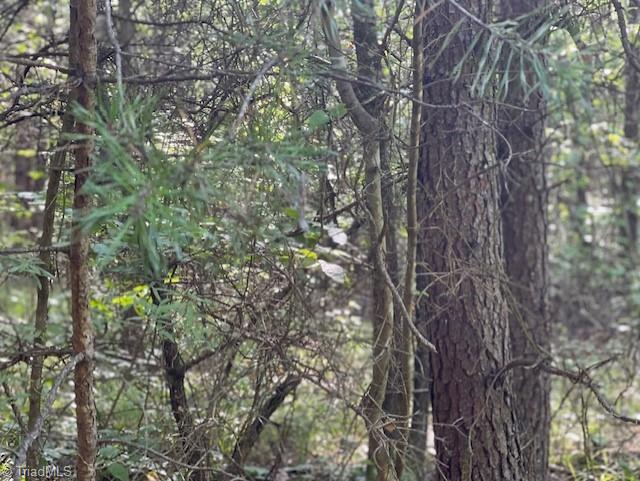 0 Roberts Cemetery Road Stoneville, NC 27048 - Photo 10 of 26 Gallery Image 10