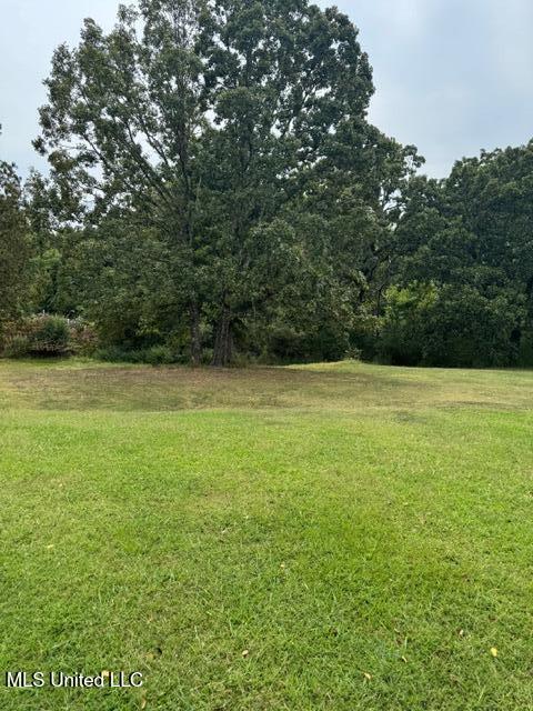 3629 South Slayden Road Lamar, MS 38642 - Photo 6 of 23 IMG_3210