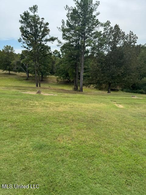 3629 South Slayden Road Lamar, MS 38642 - Photo 8 of 23 IMG_3213