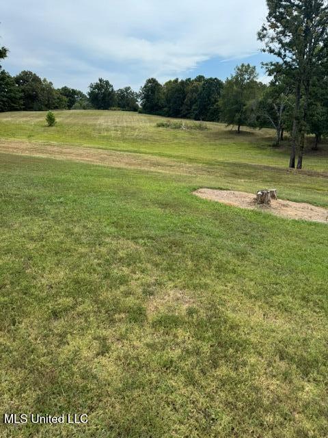 3629 South Slayden Road Lamar, MS 38642 - Photo 10 of 23 IMG_3215