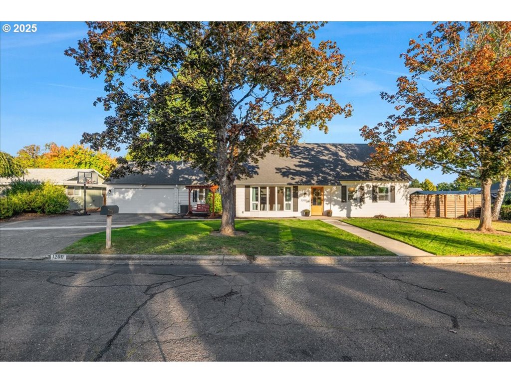 a view of road with large trees