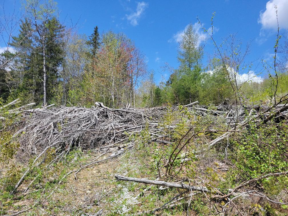 Lot 11 Swift River Road Byron, ME 04275 - Photo 37 of 72 photo_a2cb90da-ba3f-43be-a41b-6f6aa03379