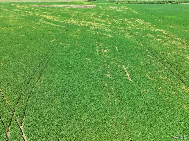 $925,275 | 102 County Road 102, Miami, MO 65344