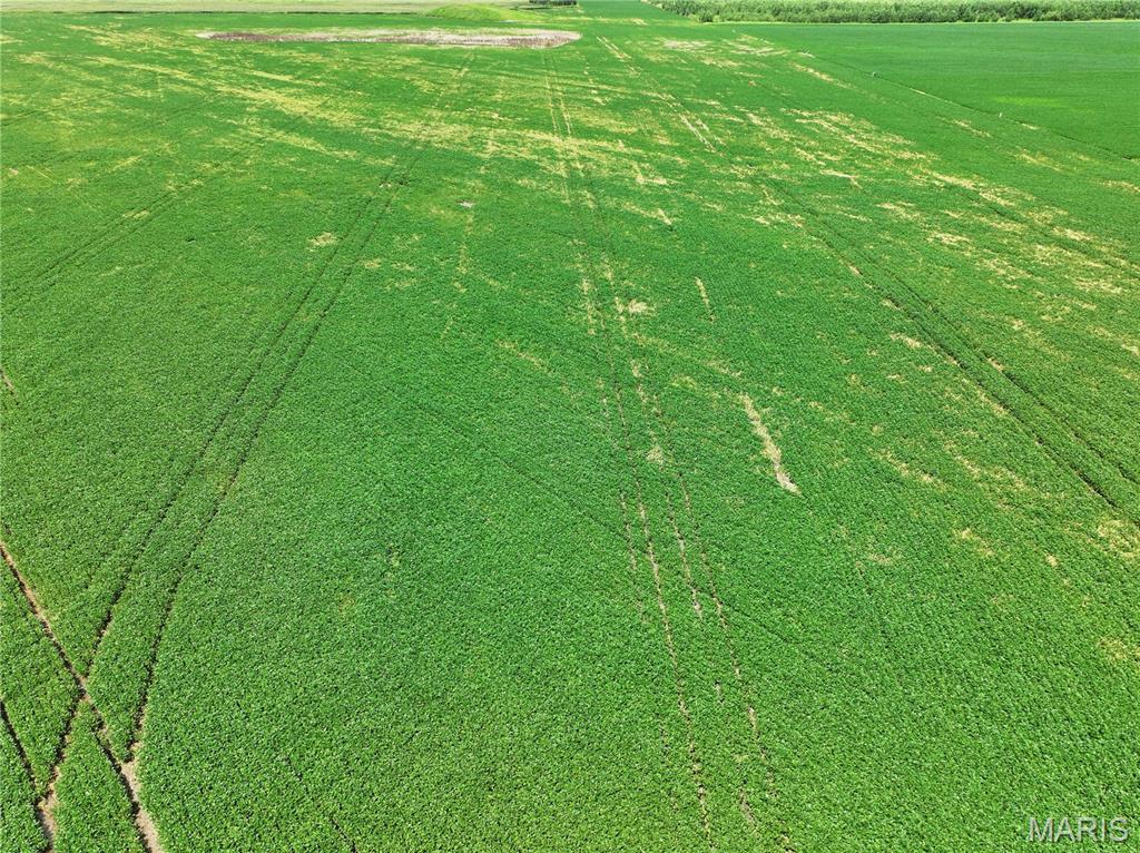 102 County Road 102 Miami, MO 65344 - Photo 13 of 15