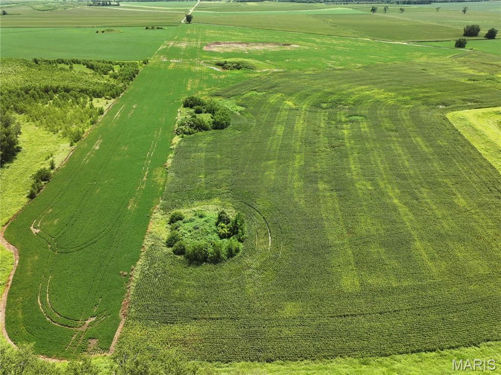 102 County Road 102 Miami, MO 65344 - Photo 9 of 15