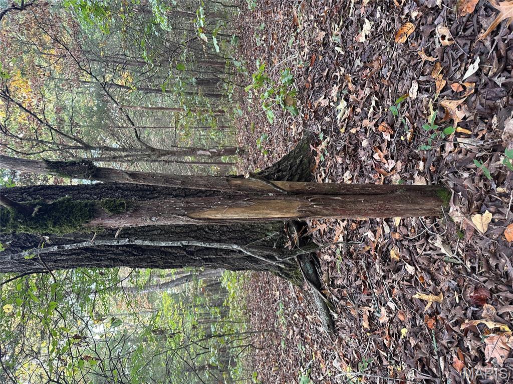 Tbd Daily Trail Warm Springs, AR 72478 - Photo 2 of 57 Gallery Image 2