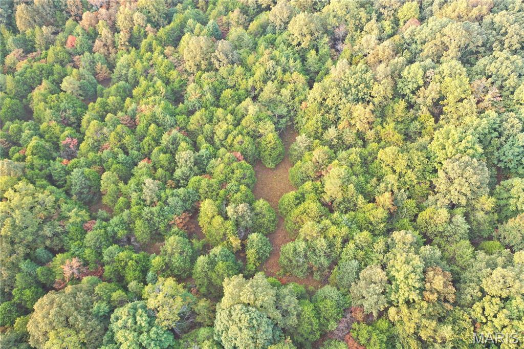Tbd Daily Trail Warm Springs, AR 72478 - Photo 21 of 57 Gallery Image 21