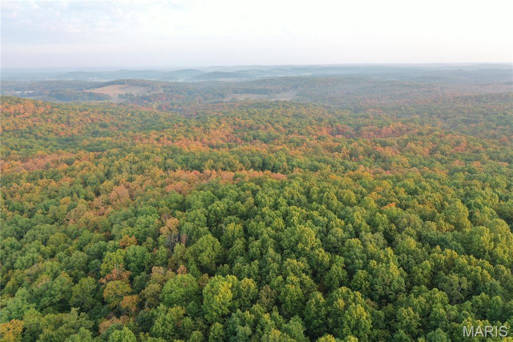 Tbd Daily Trail Warm Springs, AR 72478 - Photo 23 of 57 Gallery Image 23