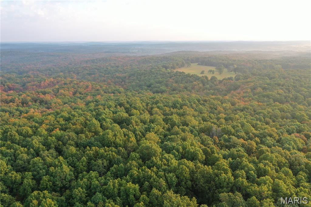 Tbd Daily Trail Warm Springs, AR 72478 - Photo 24 of 57 Gallery Image 24