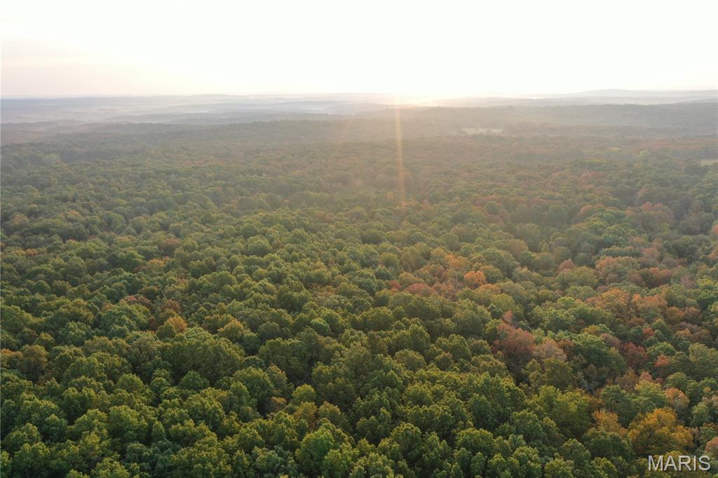 Tbd Daily Trail Warm Springs, AR 72478 - Photo 26 of 57 Gallery Image 26