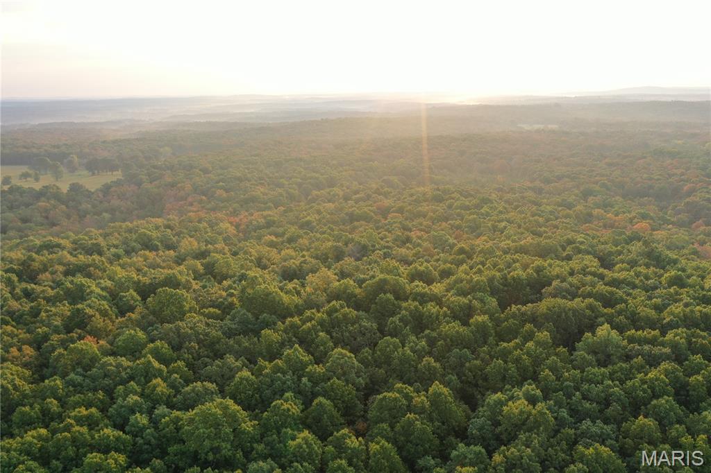 Tbd Daily Trail Warm Springs, AR 72478 - Photo 27 of 57 Gallery Image 27