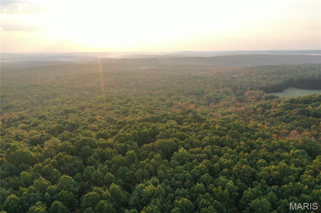 Tbd Daily Trail Warm Springs, AR 72478 - Photo 28 of 57 Gallery Image 28