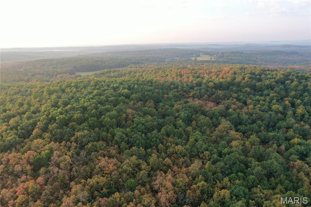 Tbd Daily Trail Warm Springs, AR 72478 - Photo 29 of 57 Gallery Image 29