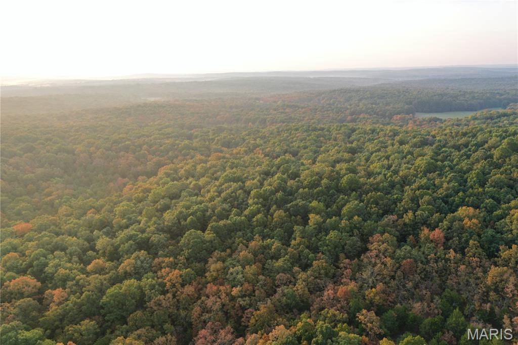 Tbd Daily Trail Warm Springs, AR 72478 - Photo 31 of 57 Gallery Image 31
