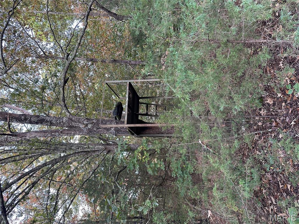 Tbd Daily Trail Warm Springs, AR 72478 - Photo 46 of 57 Gallery Image 46