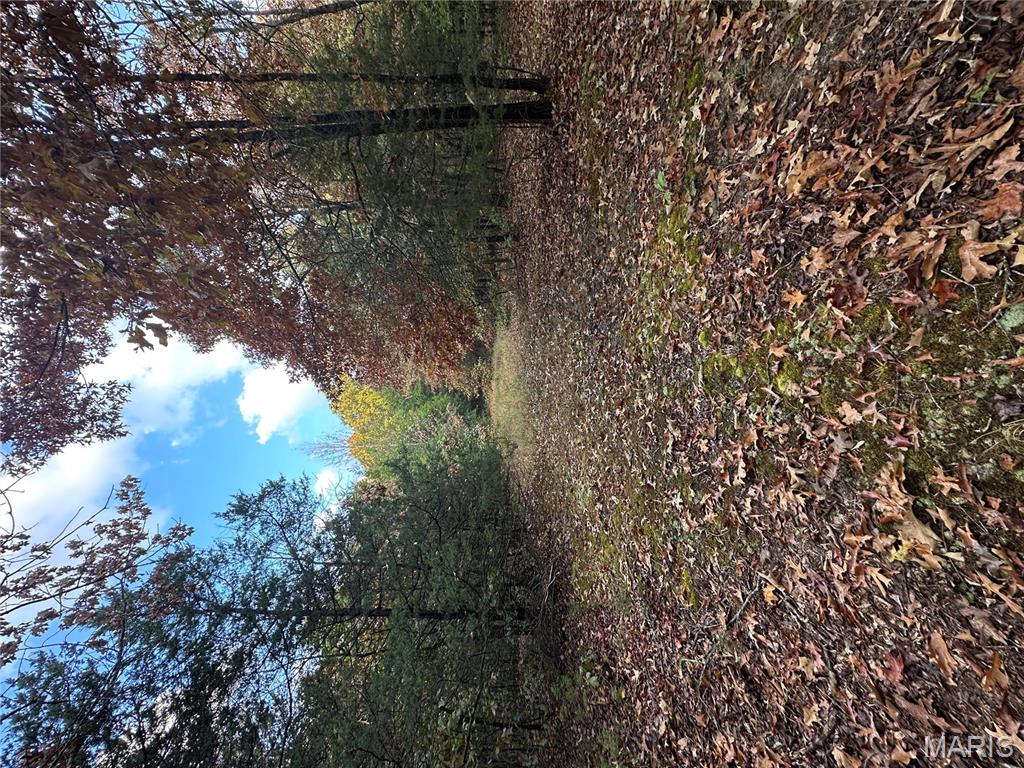 Tbd Daily Trail Warm Springs, AR 72478 - Photo 49 of 57 Gallery Image 49