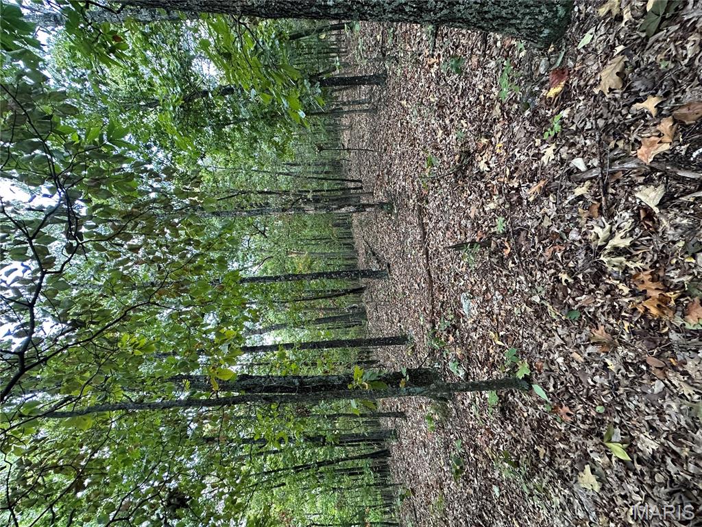 Tbd Daily Trail Warm Springs, AR 72478 - Photo 52 of 57 Gallery Image 52