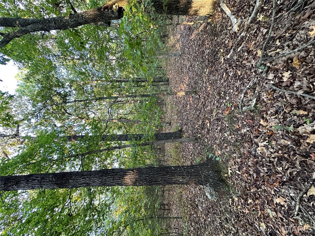 Tbd Daily Trail Warm Springs, AR 72478 - Photo 53 of 57 Gallery Image 53