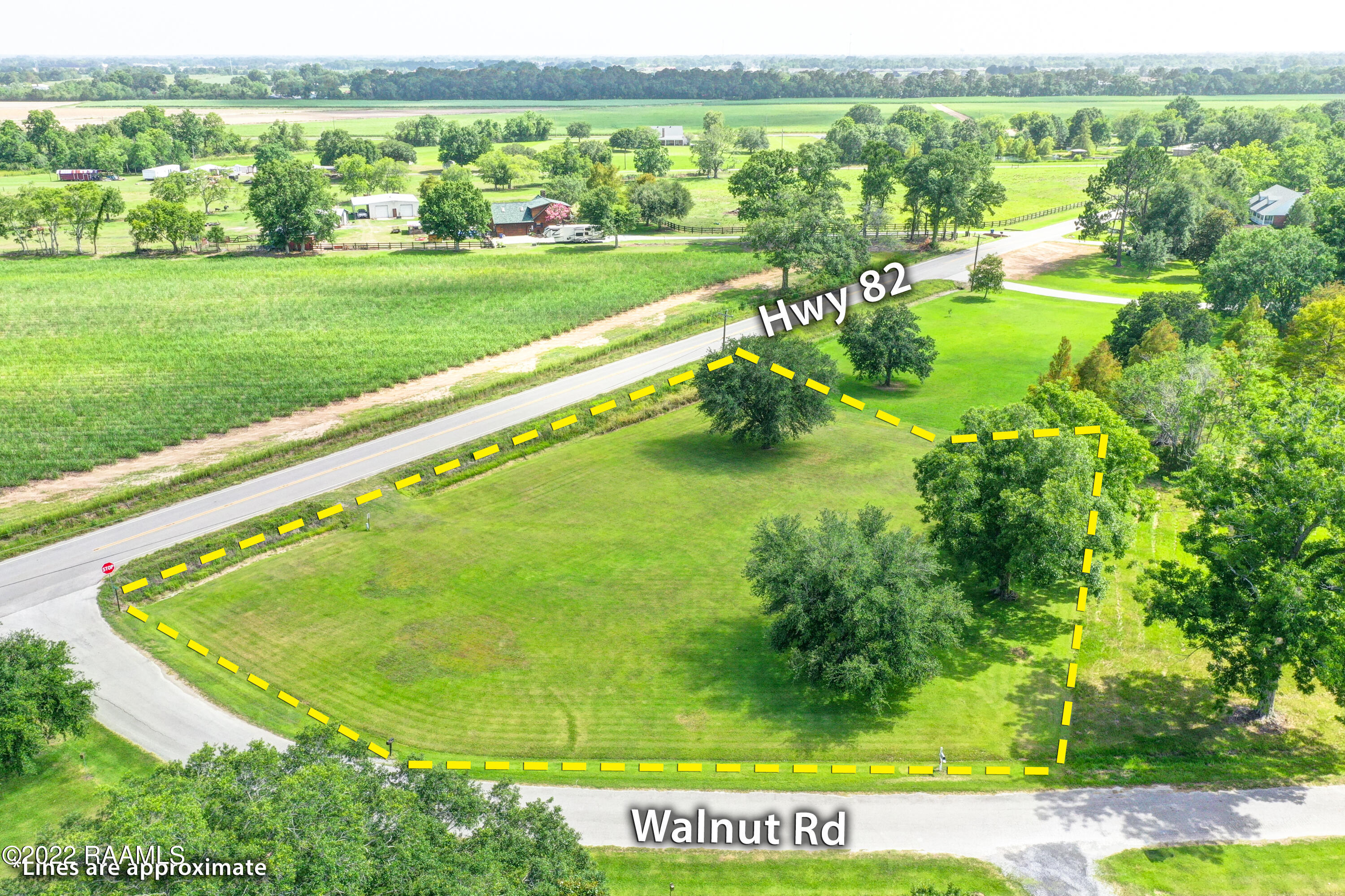 0 Walnut Road Abbeville, LA 70510 - Photo 3 of 12 Walnut Rd Abbeville Drone-2a