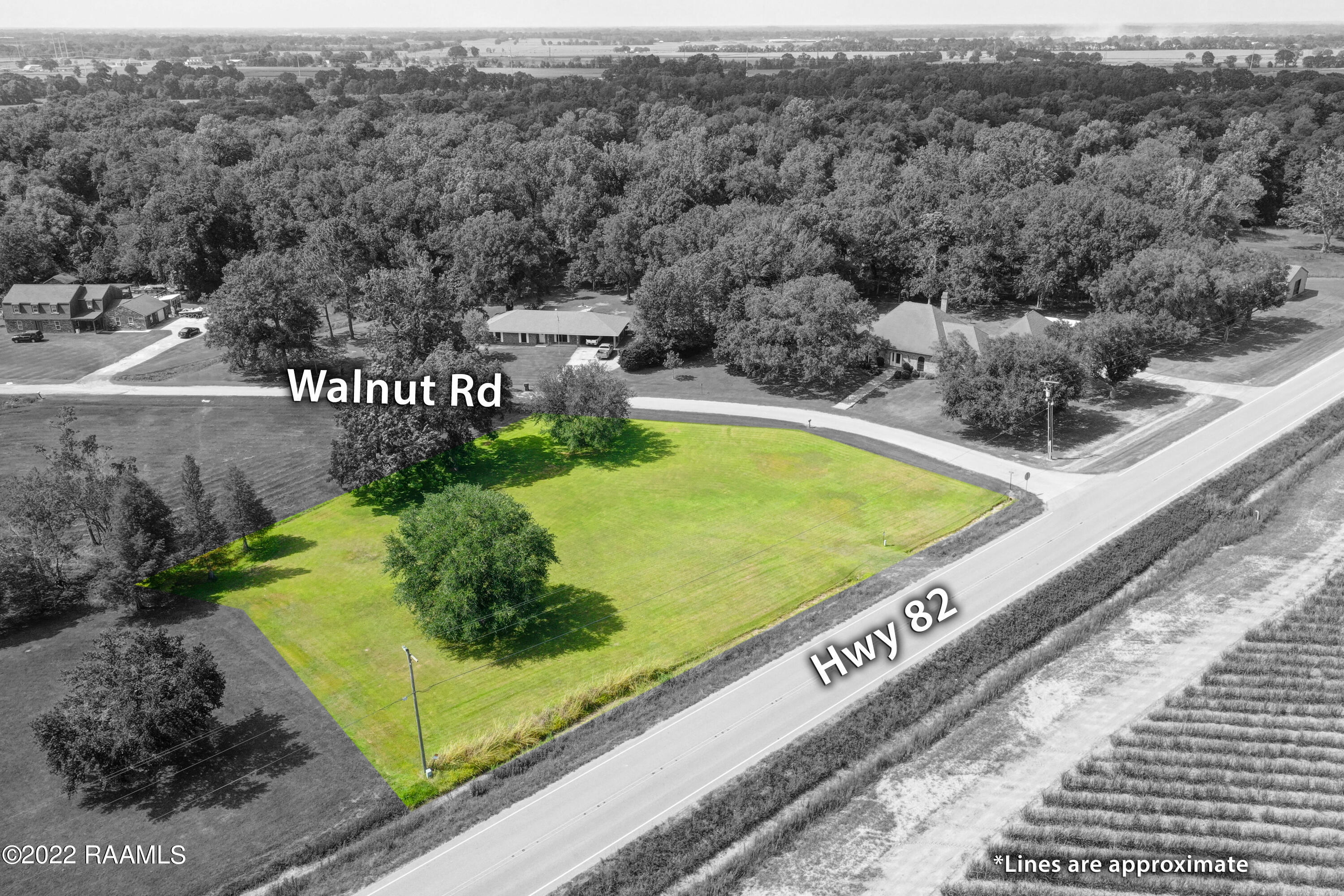 0 Walnut Road Abbeville, LA 70510 - Photo 9 of 12 Walnut Rd Abbeville Drone-6a