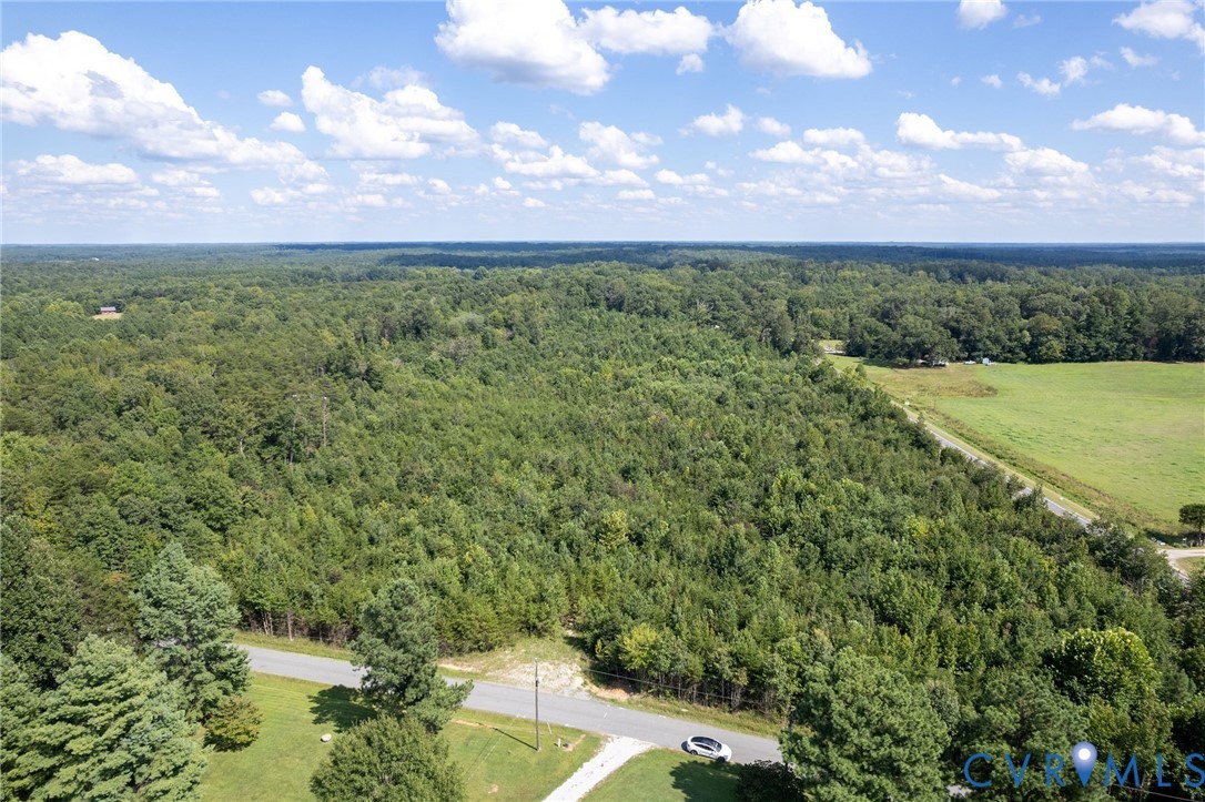 0 Danieltown Road Goochland, VA 23063 - Photo 5 of 10 a view of a yard with a house