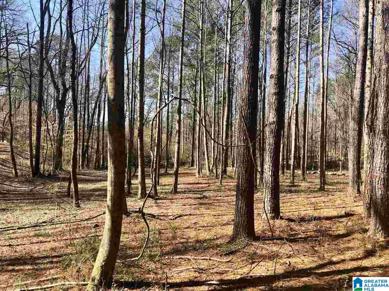 Campbell Street, Unit 1 Heflin, AL 36264 - Photo 8 of 15