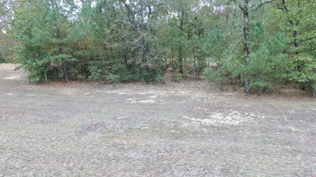 321 Eagle Ridge Road Macon, GA 31216 - Photo 19 of 23 a view of a yard with a trees
