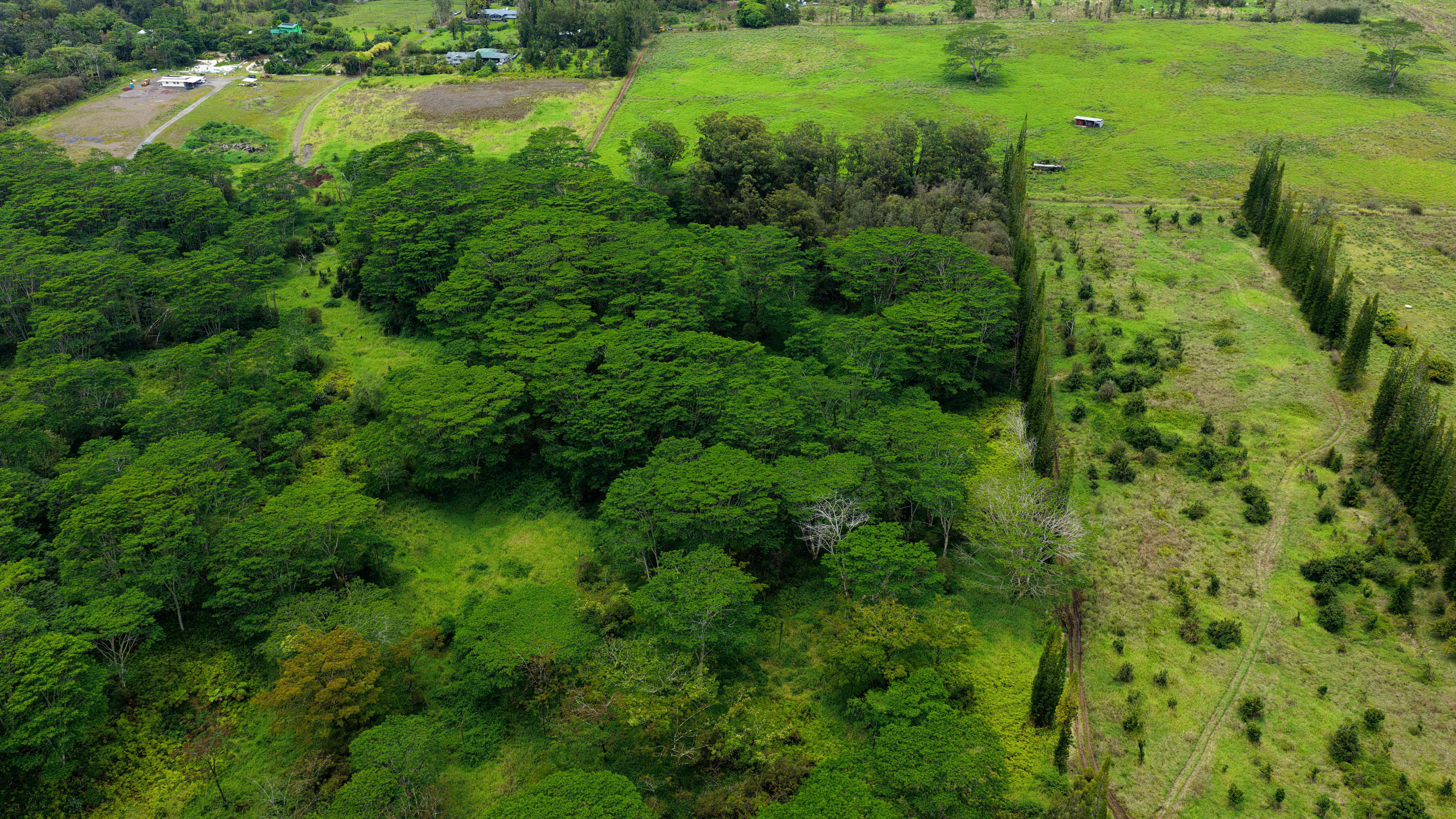 42 Enos Road Mountain View, HI 96771 - Photo 7 of 11