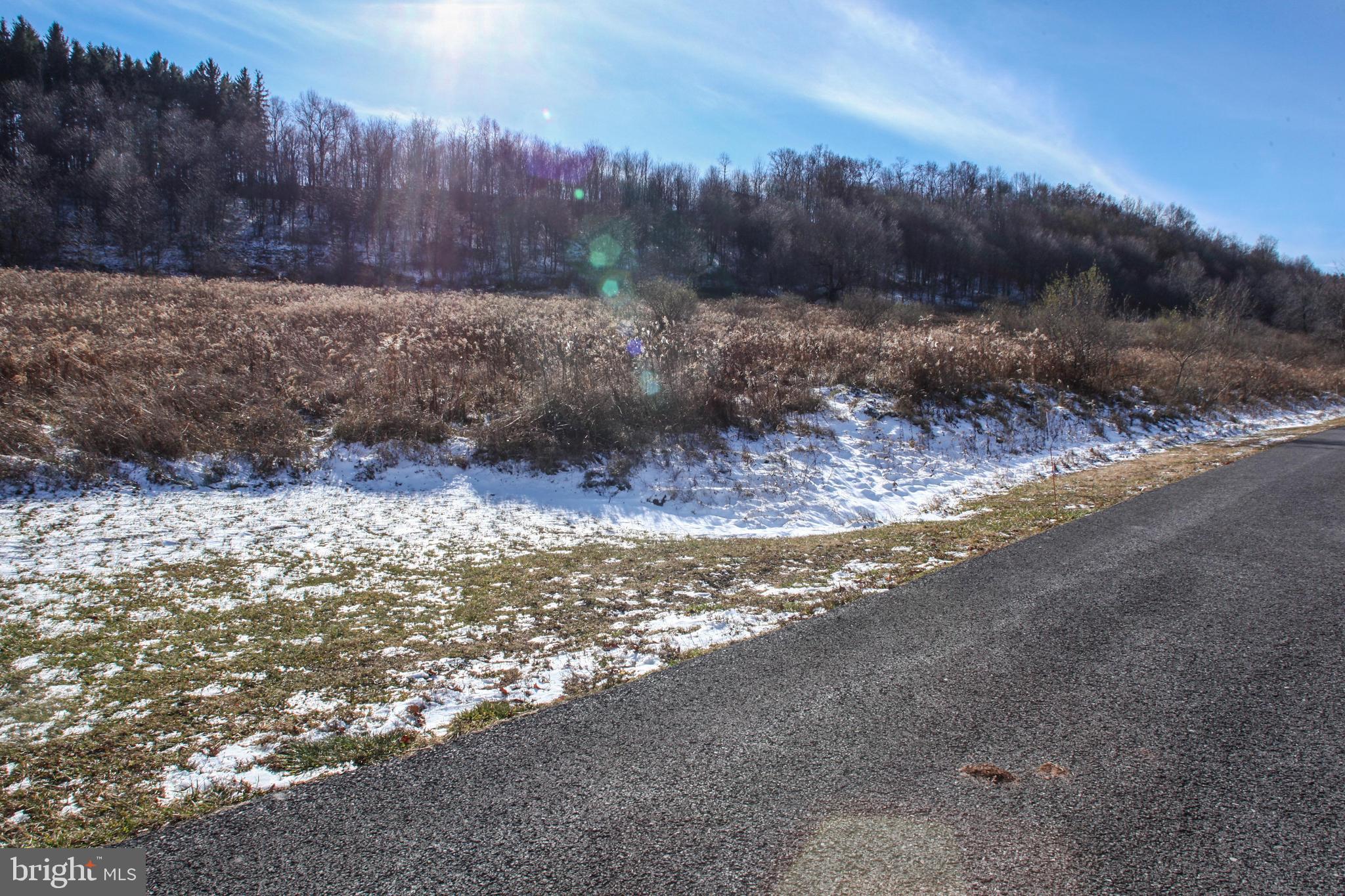 27 Settlers Pass McHenry, MD 21541 - Photo 13 of 17
