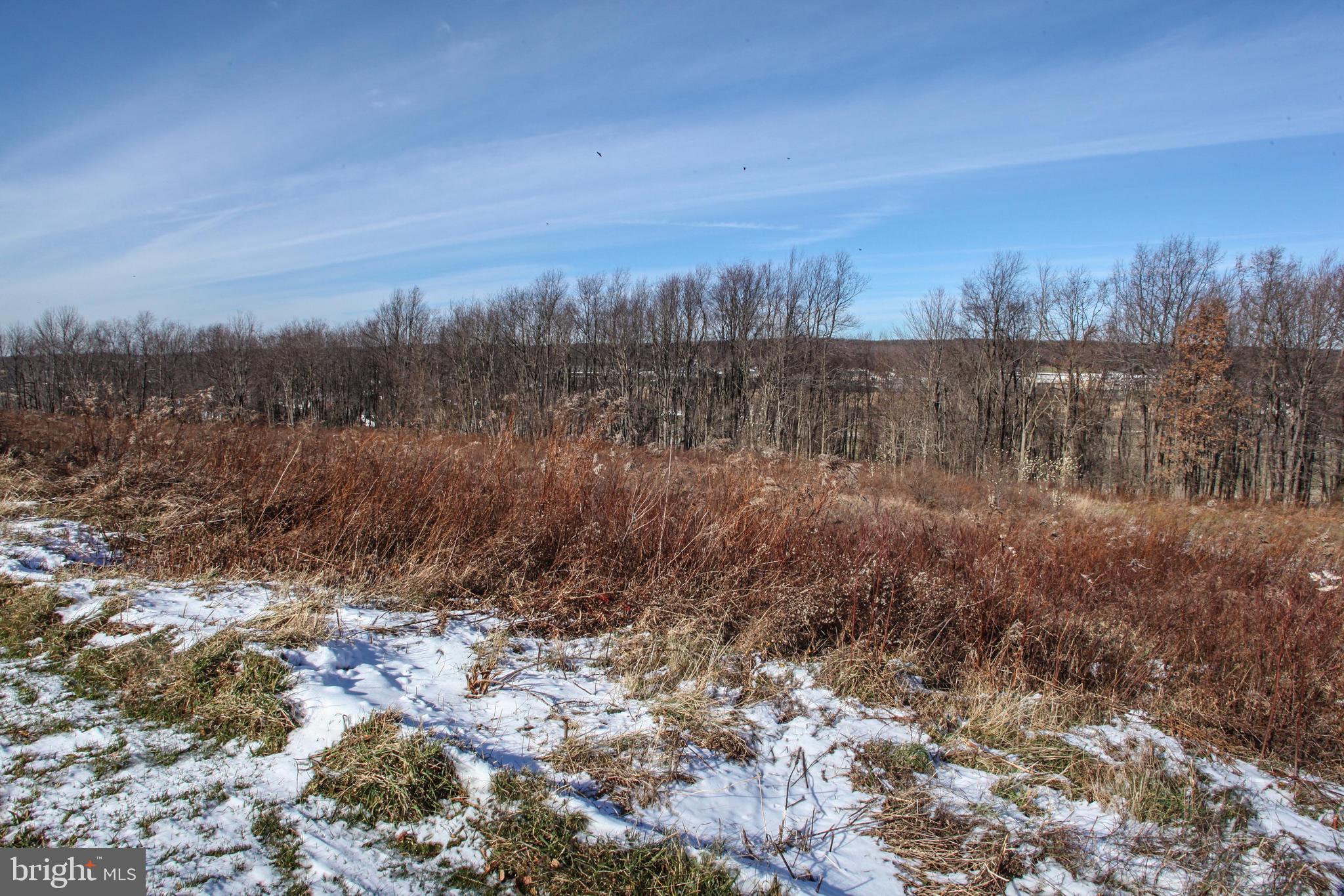 27 Settlers Pass McHenry, MD 21541 - Photo 2 of 17