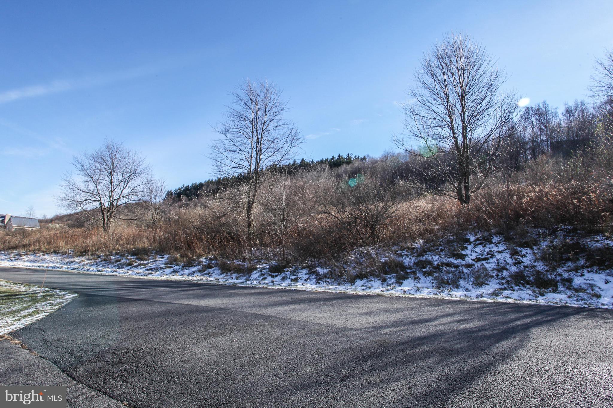 27 Settlers Pass McHenry, MD 21541 - Photo 4 of 17