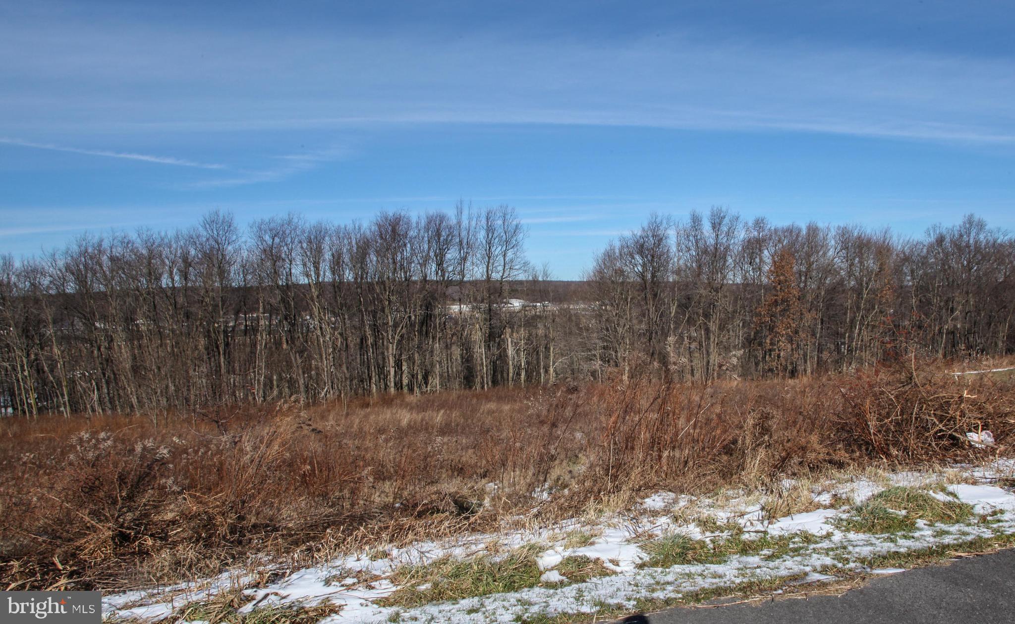 27 Settlers Pass McHenry, MD 21541 - Photo 6 of 17