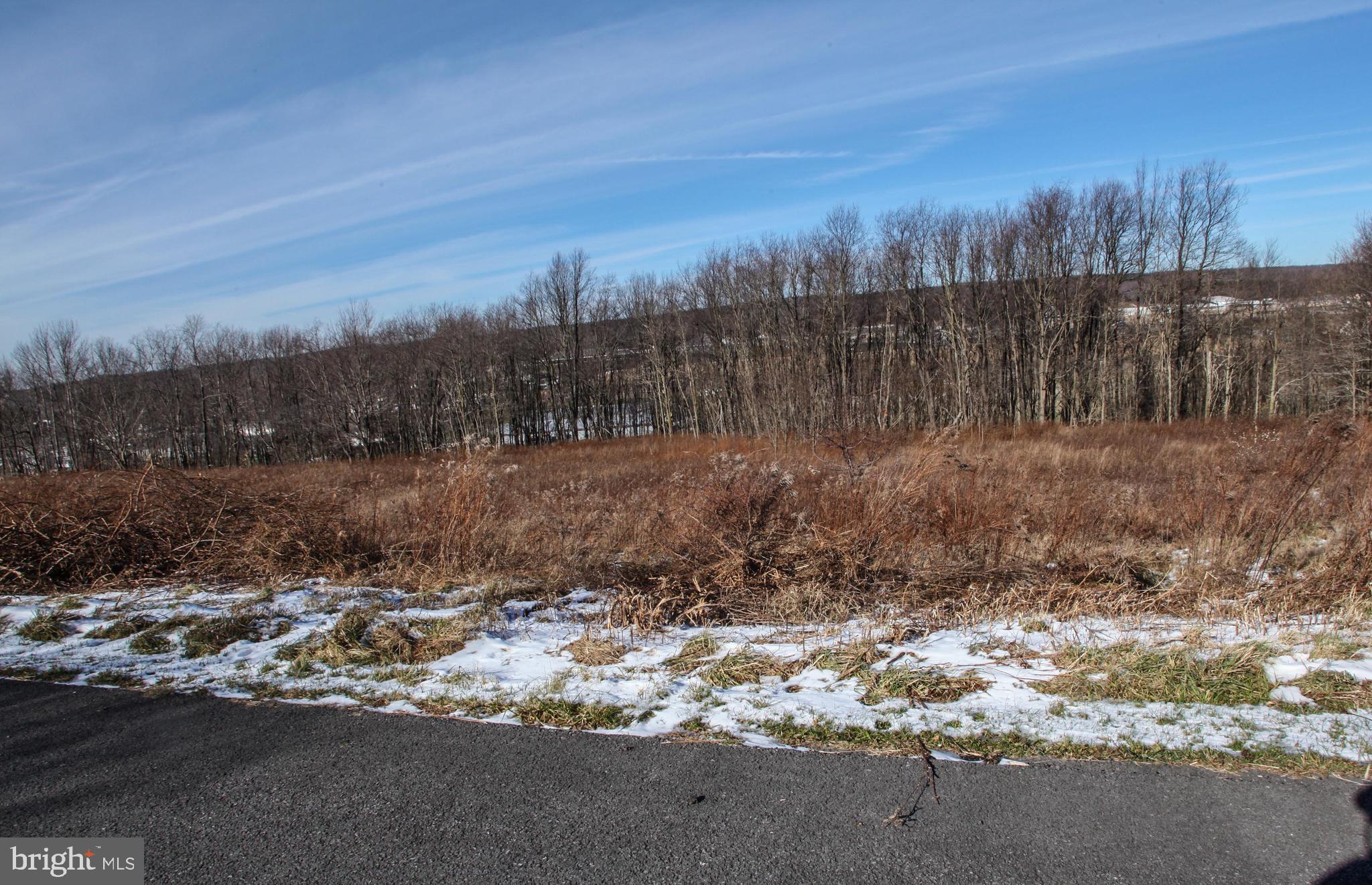 27 Settlers Pass McHenry, MD 21541 - Photo 7 of 17